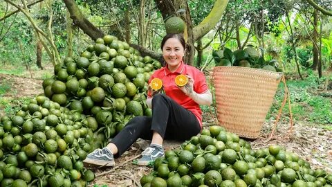 'Hành trình hạnh phúc' của Saigon Co.op lan tỏa niềm tự hào quê hương_cách làm video lan truyền
